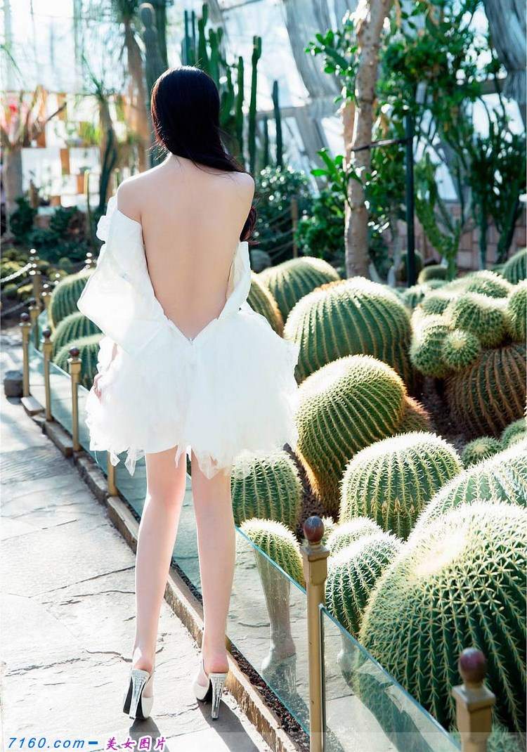 木婉晴图片