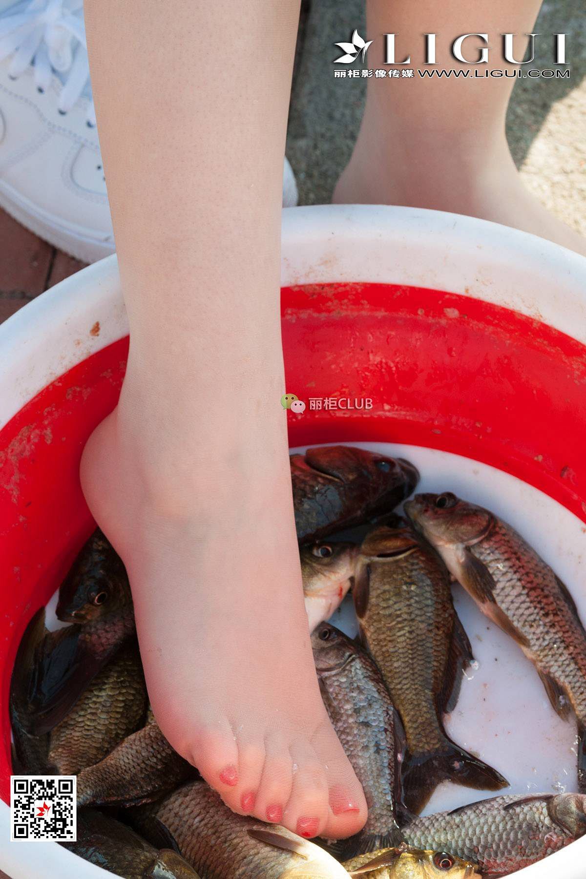 长腿玉足模特然然浴缸丝足迷情网络丽人写真集图片