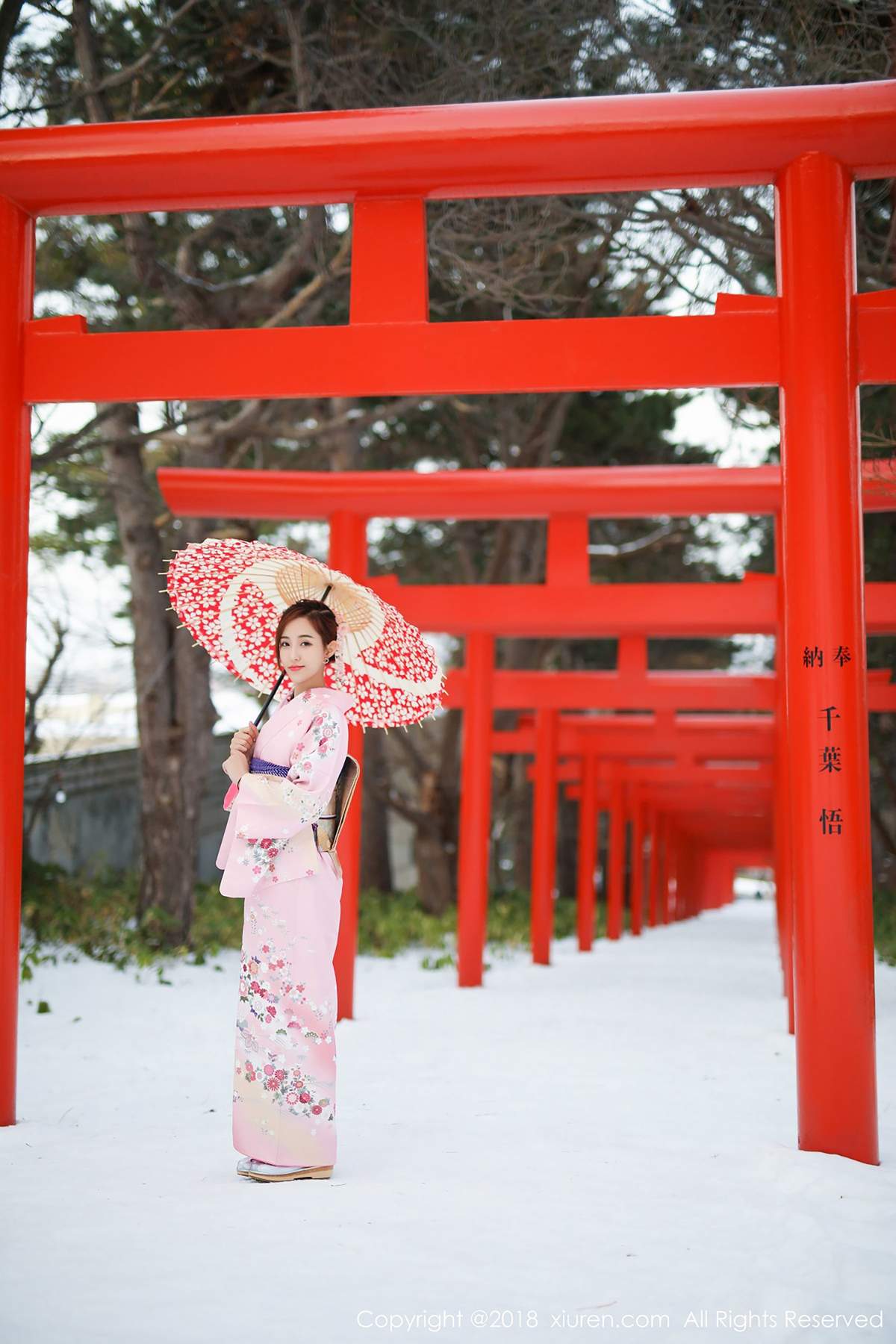 美女猫宝图片