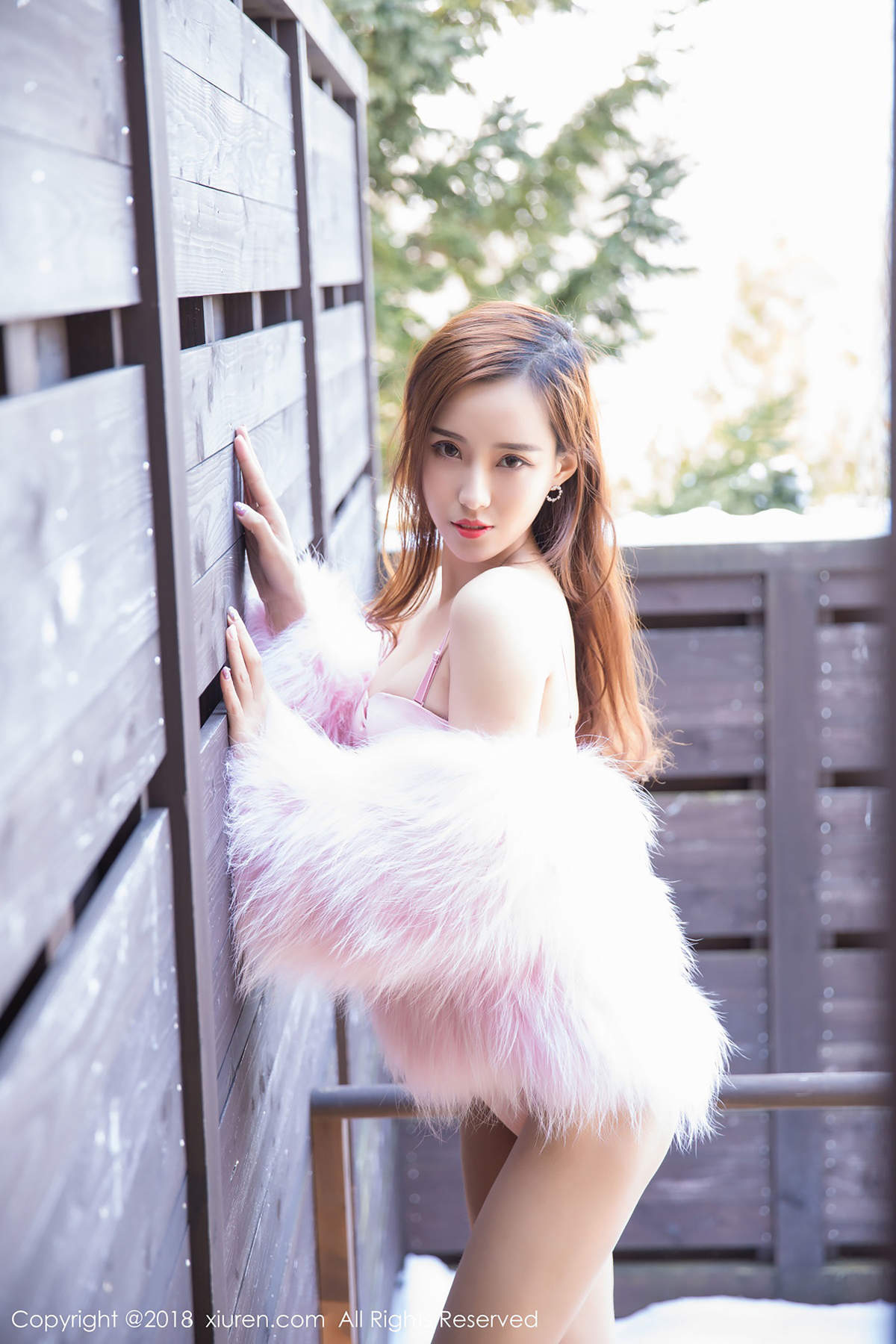 美女猫宝图片