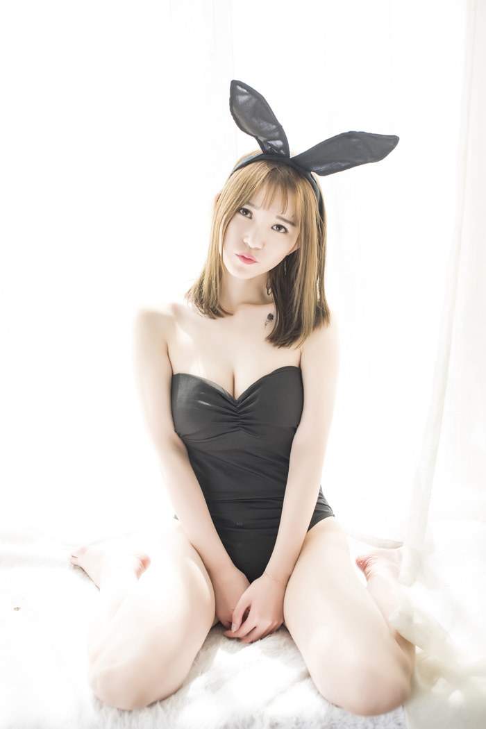 小野猫图片