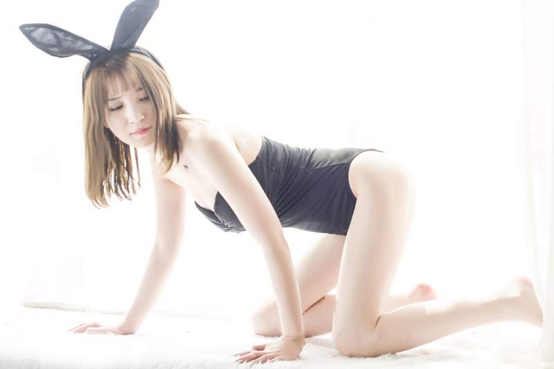 小野猫图片