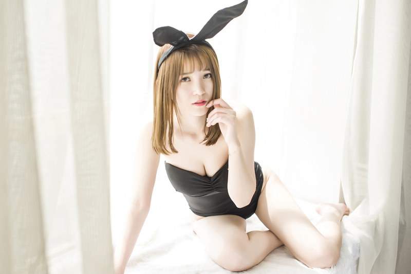 小野猫图片