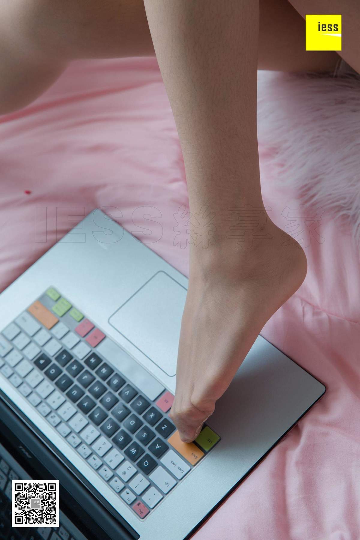 美女小羽图片