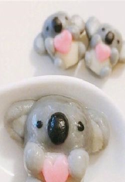 小动物
