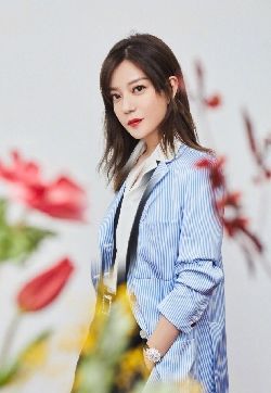 中国大陆安徽芜湖影视女演赵薇东方卫视春晚发布会写真图片