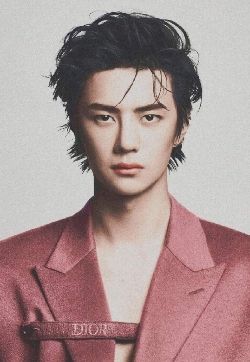 河南省洛阳男明显王一博帅气时尚高清手机壁纸