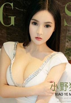 漂亮丰满的韩国美女小野猫家养小野猫高清妹子写真集