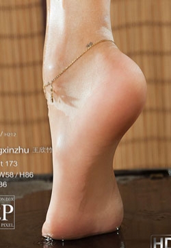 大美腿腿模王欣竹旗袍茶艺丝足美腿丝足写真集