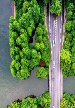 唯美风景图