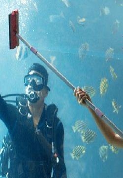 黄昏中的唯美浪漫爱情电脑壁纸第张