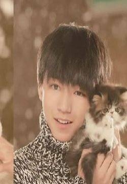 TFBOYS高清萌宠写真 翩翩少年萌化 TFBOYS图片