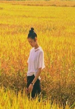 刘雯金色麦田唯美意境写真图片