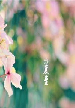 夏至图片 朋友圈夏至节日配图