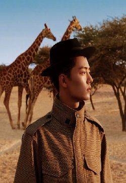 X玖少年团肖战时尚芭莎帅气写真图片
