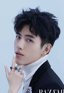 陈飞宇