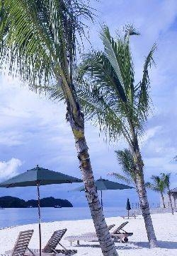 唯美风景