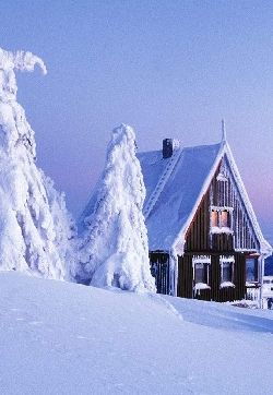 下雪