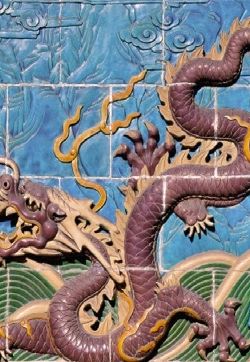 龙图片