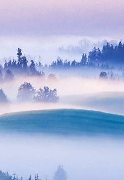 美丽风景