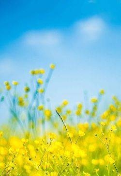 壮丽山水风光高清桌面壁纸