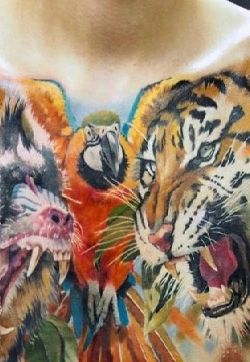 胸部彩色逼真的愤怒老虎猩猩和鹦鹉纹身图案