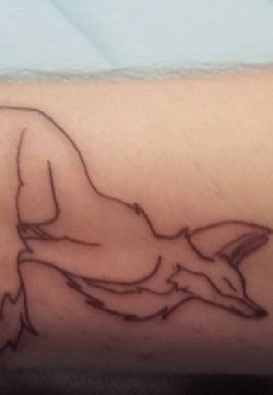 小动物纹身 男生手臂上黑色的狐狸纹身图片
