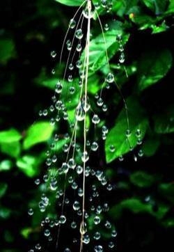 雨后清新画面