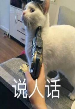 QQ表情包图片 QQ最新表情包图片