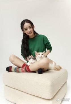 清纯人气美女赵丽颖携爱宠出镜拍写真