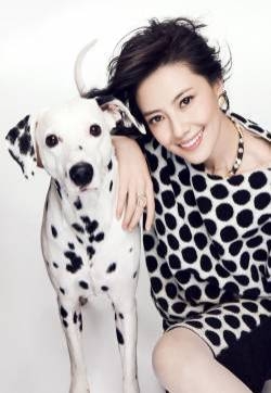 最美女神人妻高圆圆那些绝美高清时尚性感艺术写真图片合集