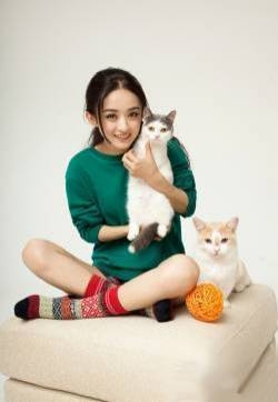 赵丽颖喵星人时尚写真 图片温情演绎宠物情缘赵丽颖图片