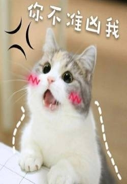 表情包图片