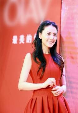 高圆圆摇曳红裙出席活动 嫣然巧笑迷人眼