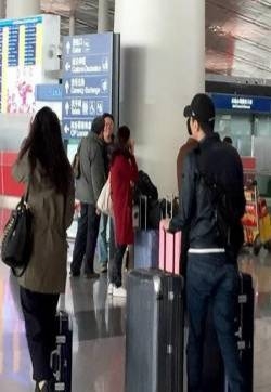 高圆圆婚后怀孕顺其自然 随夫回台湾探亲
