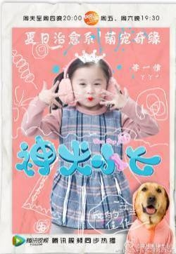 神犬小七郭碧婷金世佳朱佳煜李一情宣传海报剧照图片