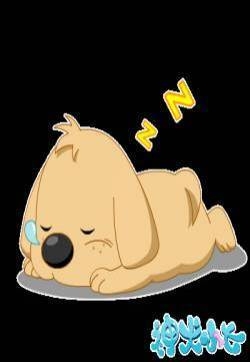 《神犬小七》 超级Q萌小七表情出炉 帅逼小七表情包图片