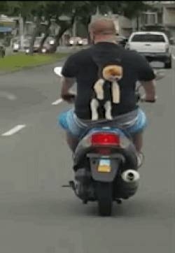 邪恶gif 看的醉醉的 卡通动漫人物gif