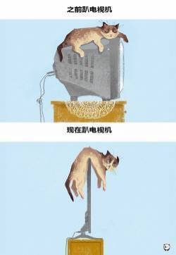现代生活对猫产生的变化