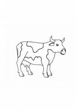 奶牛简笔画图片：教你怎么画奶牛