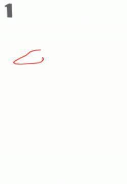 袋鼠简笔画图片：教你怎么画袋鼠