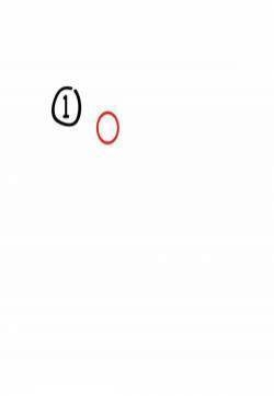 鹦鹉简笔画图片：教你怎么画鹦鹉