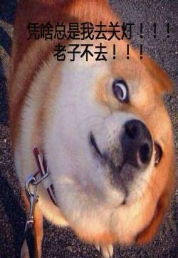 幽默搞笑的动物表情包图片：宿舍专用表情头像