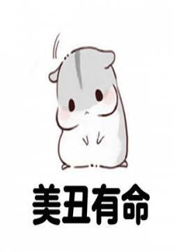 幽默搞笑卡通系列小仓鼠动物表情包图片：胖瘦在天
