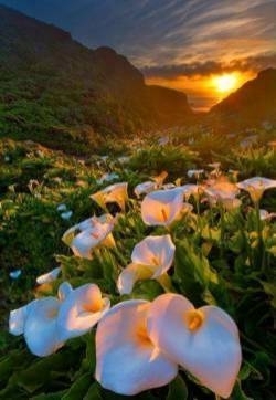 唯美夕阳清新大自然风景高清摄影图片 留住美好景色