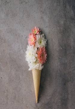 花朵创意图片精选
