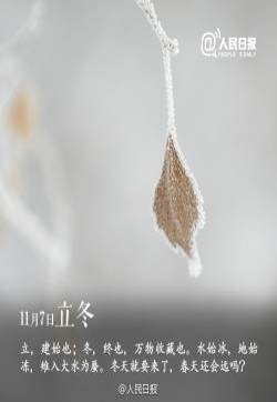 11月节日唯美图片