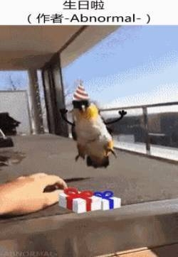 超级搞笑的gif动图 萌宠们日常gif图片