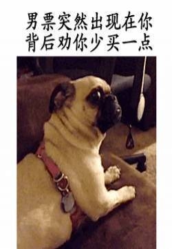 搞笑文字语录gif动态图：生动形象的动态图片