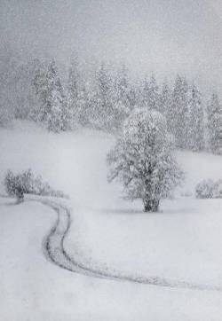 大雪覆盖下的轨迹自然风景诗意图片